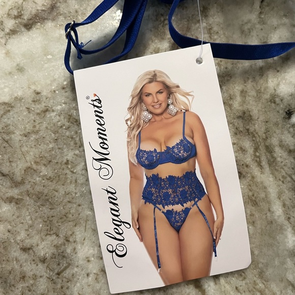 🆕Royal Blue Embroidered Lace & Mesh Sexy 3 PC Lingerie Set w Waist Cin Size 1X - Picture 6 of 10